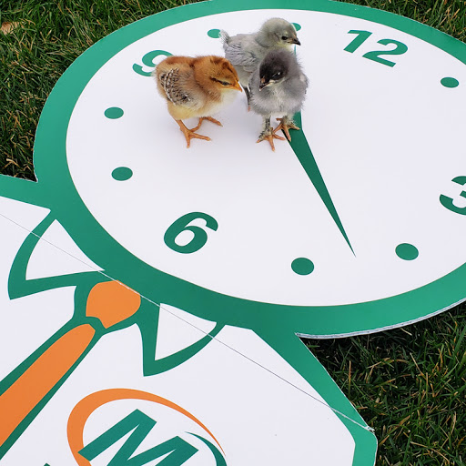 Commercial Printer «Minuteman Press - Westgate», reviews and photos, 24112 Lorain Rd, North Olmsted, OH 44070, USA