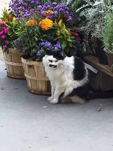 Hardware Store «Big Tool Box», reviews and photos, 8080 S Holly St, Centennial, CO 80122, USA