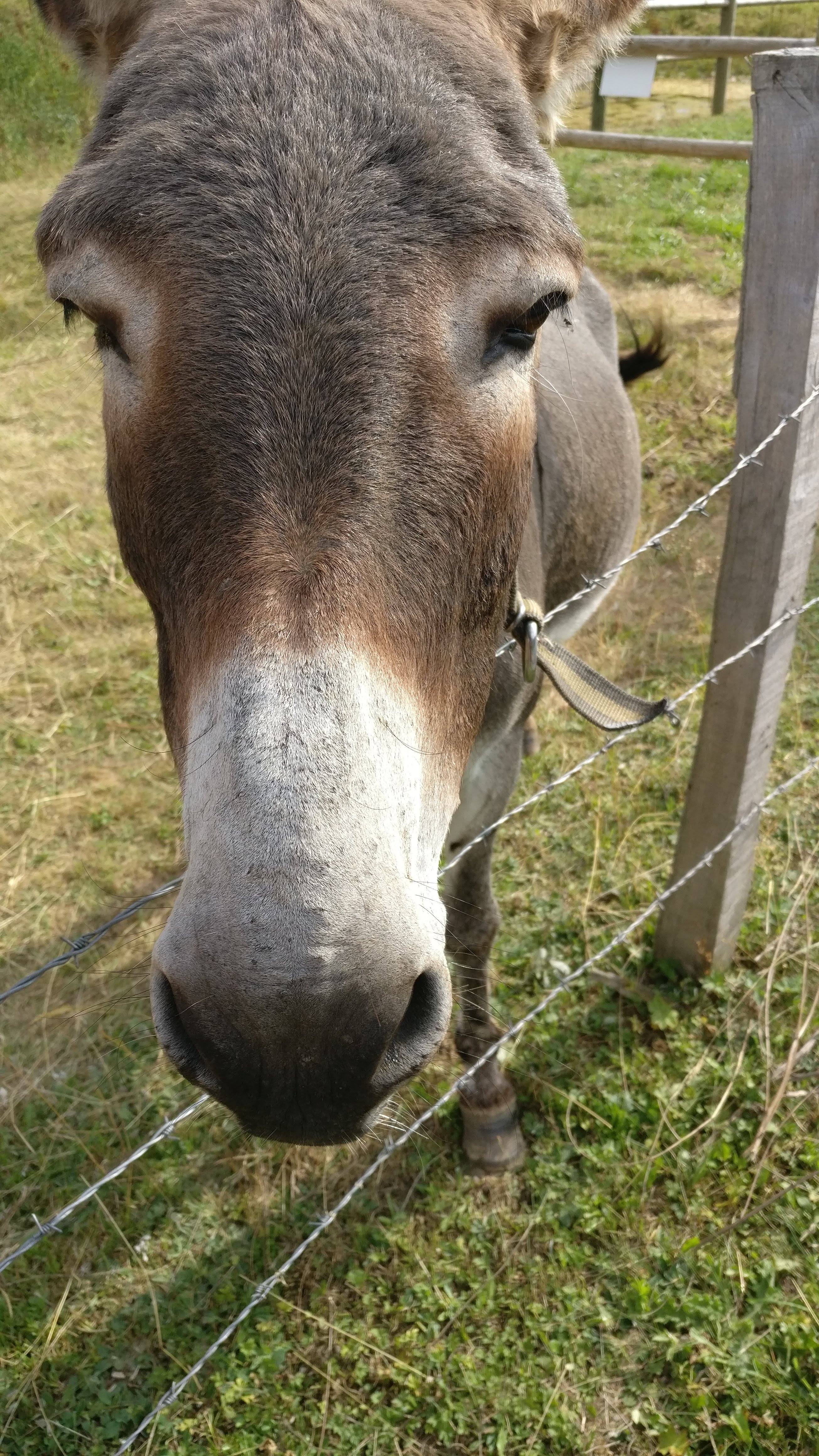 Photo n° 3 de l'avis de DEnis.u fait le 06/08/2019 à 19:32