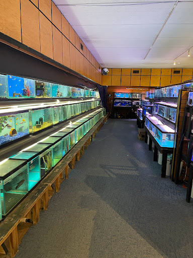 Aquarium Shop «Aquatics Unlimited / Aquatic Realmz», reviews and photos, 3550 S 108th St, Greenfield, WI 53228, USA