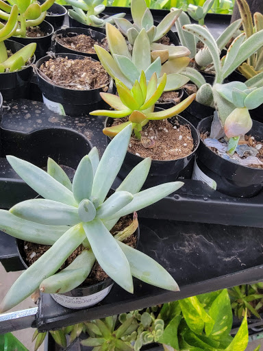 Home Improvement Store «The Home Depot», reviews and photos, 7260 Interstate Blvd, Horn Lake, MS 38637, USA