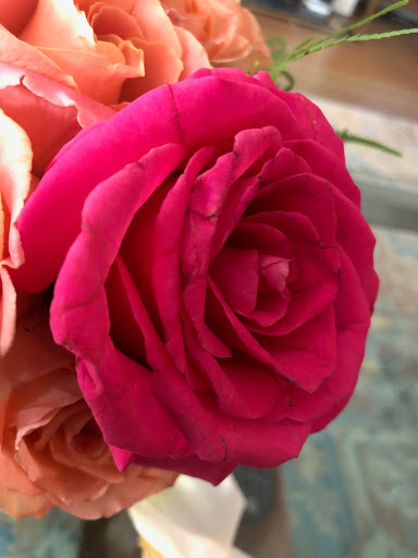 Florist «Winston Flowers - Concord», reviews and photos, 32 Main St #5, Concord, MA 01742, USA