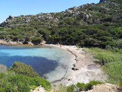 Cala Lunga beach'in fotoğrafı imkanlar alanı