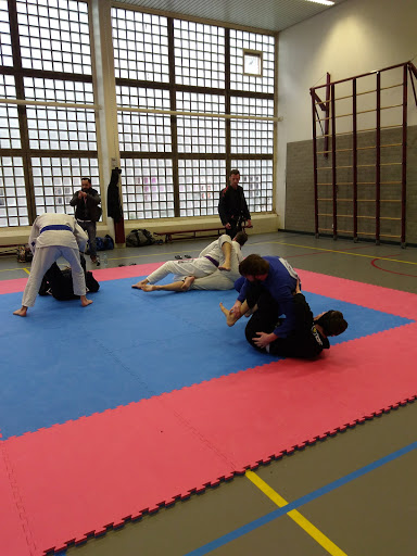 Hapkido lessons Rotterdam