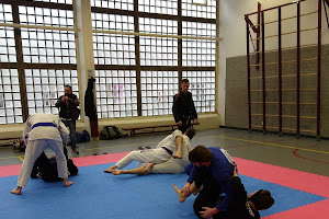 BJJ (Brazilian Jiu Jitsu) & Grappling in Rotterdam