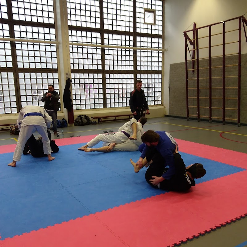 BJJ (Brazilian Jiu Jitsu) & Grappling in Rotterdam