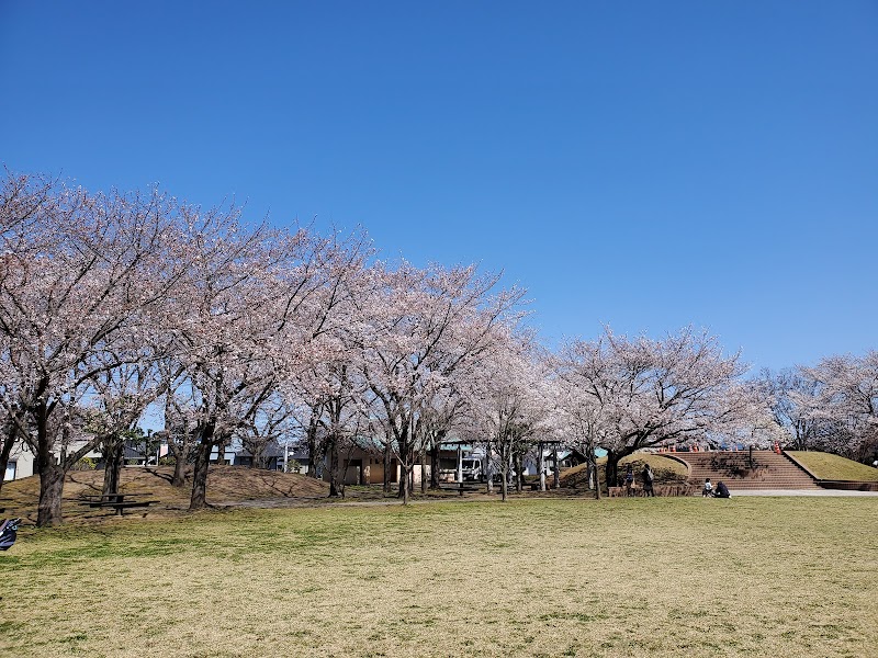 朱雀中央公園