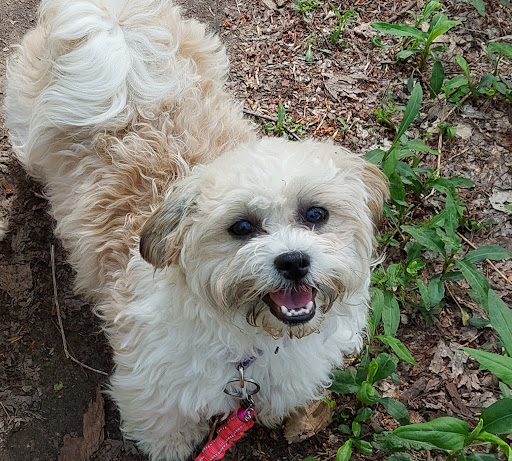 Pet Supply Store «PetSmart», reviews and photos, 8014 Old Carriage Ct, Shakopee, MN 55379, USA