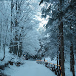 Photo n°4 de l'avis de Rita.i fait le 23/01/2019 à 09:06 sur le  Rifugio del Firenze Ninfa à Sestola