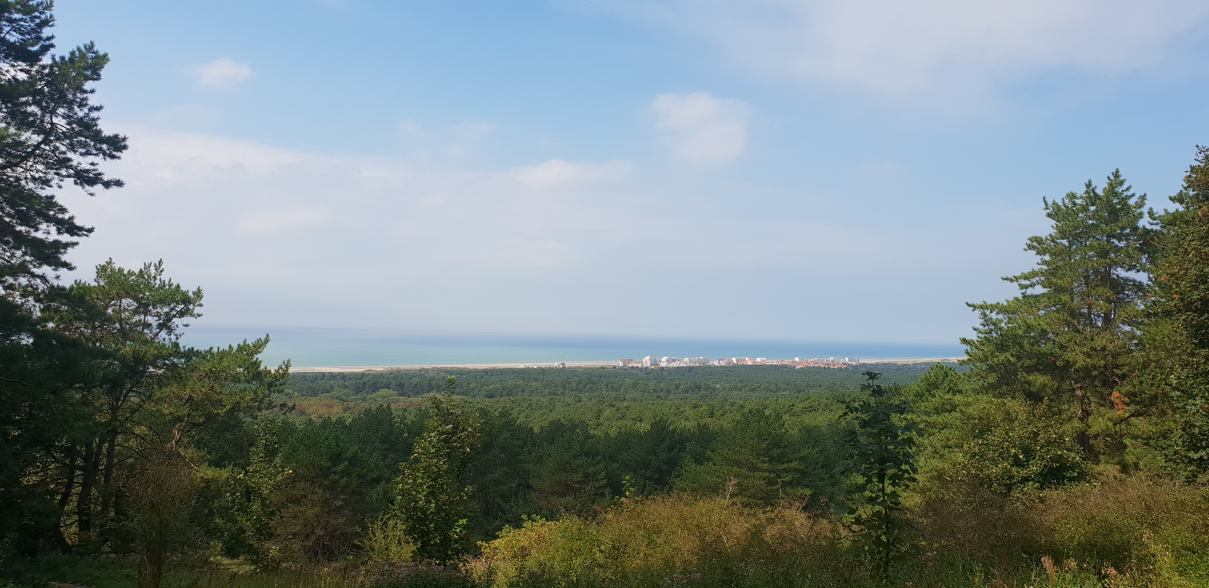 Photo n° 3 de l'avis de Floriant.o fait le 25/08/2023 à 13:28