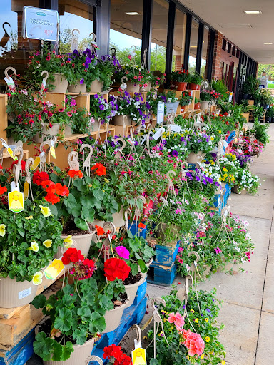 Grocery Store «Fresh Thyme Farmers Market- Naperville», reviews and photos, 790 Royal St George Dr, Naperville, IL 60563, USA