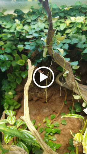 Book Store «Antigone Books», reviews and photos, 411 N 4th Ave, Tucson, AZ 85705, USA