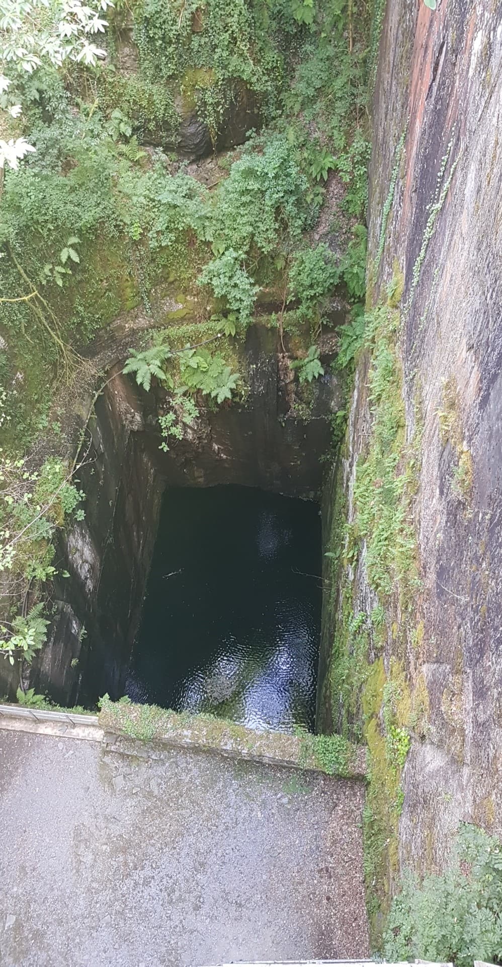 Photo n° 3 de l'avis de Riccetti.e fait le 15/07/2018 à 11:31