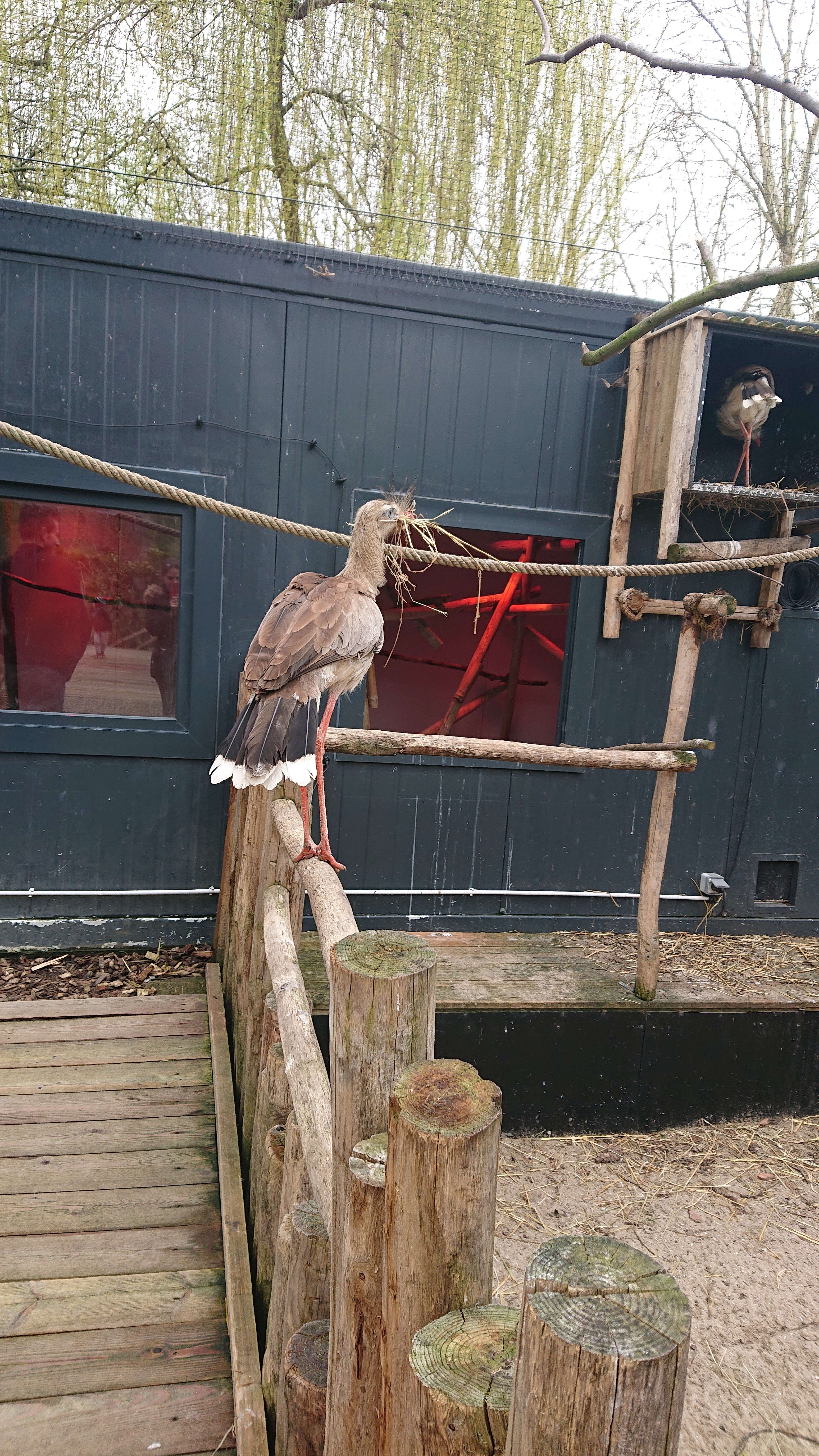 Photo n° 6 de l'avis de Otaries.a fait le 26/03/2019 à 09:02