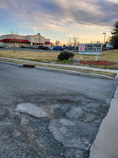 Home Improvement Store «Tractor Supply Co.», reviews and photos, 862 NJ-45, Pilesgrove, NJ 08098, USA