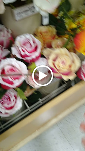 Home Goods Store «Christmas Tree Shops», reviews and photos, 327 Mt Hope Ave, Rockaway, NJ 07866, USA