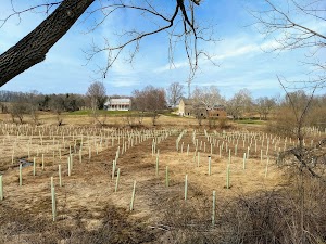 Stroud Preserve - photo 17