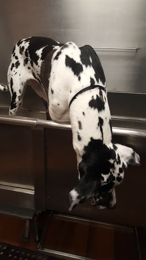 Pet Store «Pet Valu», reviews and photos, 2645 Shillington Rd, Sinking Spring, PA 19608, USA