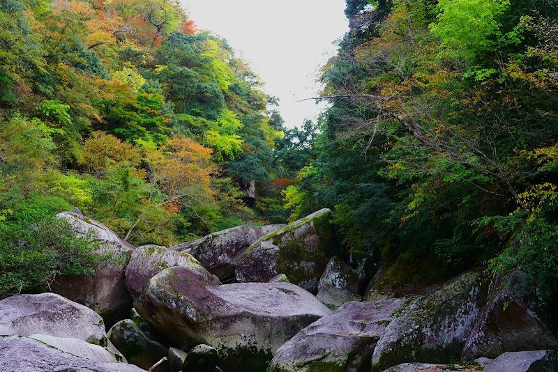 鬼の舌震