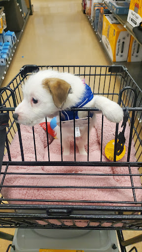 Pet Supply Store «Petco Animal Supplies», reviews and photos, 244 Pioneer Trail, Chaska, MN 55318, USA