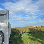 Photo n°1 de l'avis de Susanne.r fait le 14/10/2023 à 21:29 sur le  gehringsweinwirtschaft à Nierstein