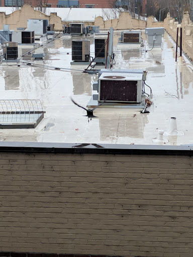 Concert Hall «McDonald Theater», reviews and photos, 1010 Willamette St, Eugene, OR 97401, USA