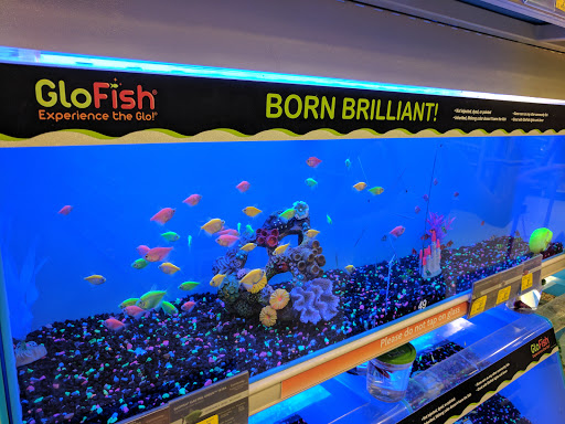 Pet Supply Store «PetSmart», reviews and photos, 5 Mystic View Rd, Everett, MA 02149, USA