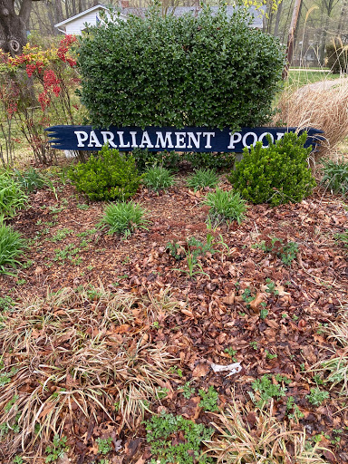 Parliament Pool Association