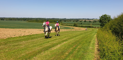 Park Farm Equestrian