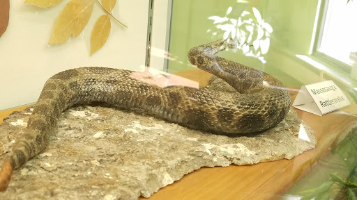 Zoo «Belle Isle Nature Center», reviews and photos, 176 Lakeside Dr, Detroit, MI 48207, USA