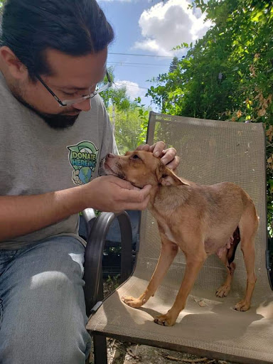 Texas Pet Rescue