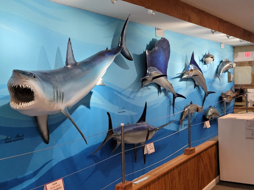 Destin History & Fishing Museum