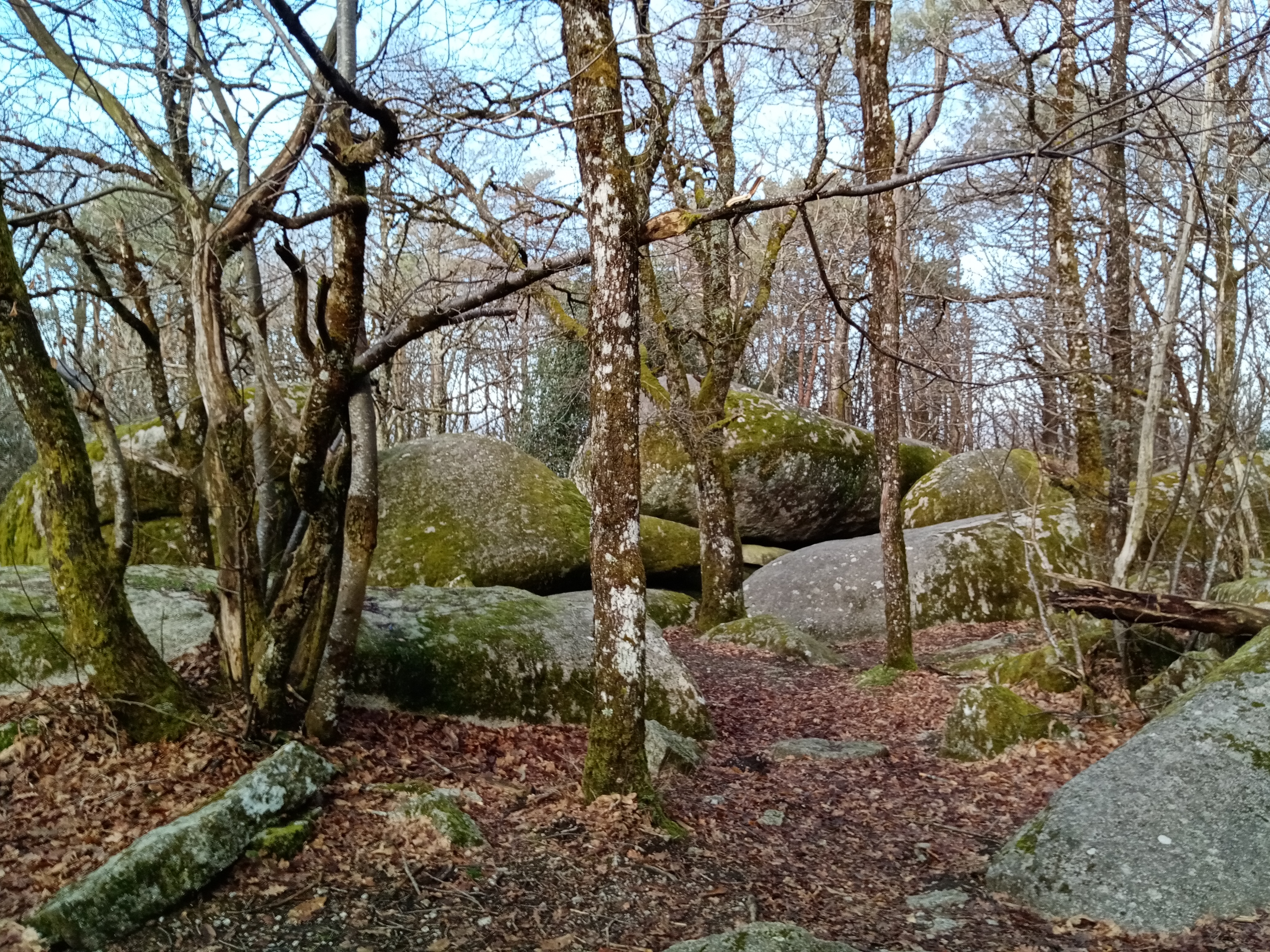 Photo n° 3 de l'avis de S.V fait le 19/02/2021 à 12:21