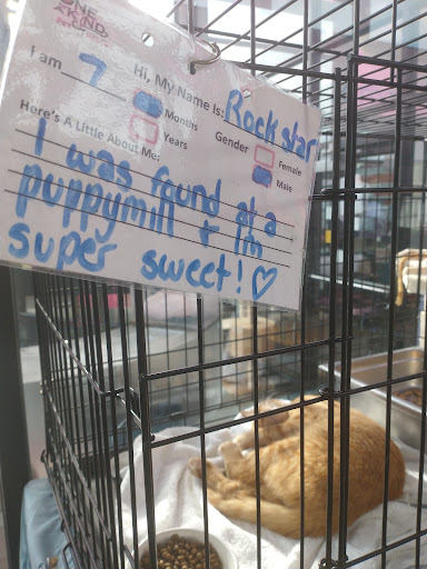 Animal Shelter «One of A Kind Pet Rescue», reviews and photos, 1929 W Market St, Akron, OH 44313, USA