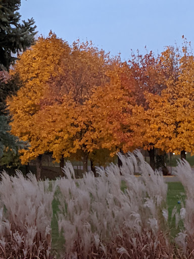 Golf Course «Les Bolstad Golf Course Main Office», reviews and photos, 2275 Larpenteur Ave W, St Paul, MN 55113, USA