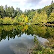 Nanaimo River Hatchery