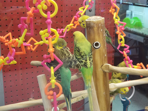 Pet Supply Store «Petco Animal Supplies», reviews and photos, 8644 E 96th St, Fishers, IN 46038, USA