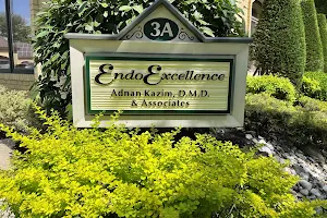 Endo Excellence image