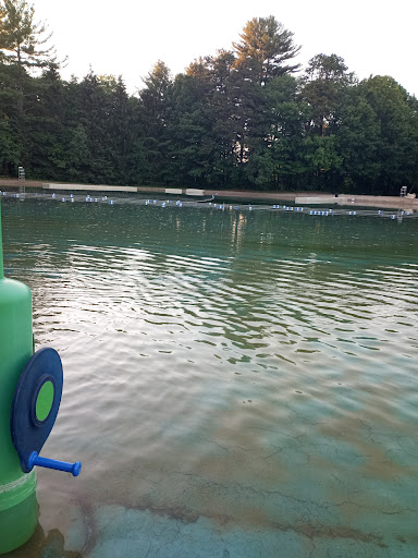 Park «Springs Brook Park», reviews and photos, 181 Springs Rd, Bedford, MA 01730, USA