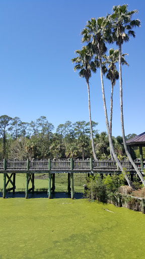 Zoo «Jacksonville Zoo and Gardens», reviews and photos, 370 Zoo Pkwy, Jacksonville, FL 32218, USA