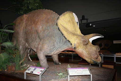 Science Museum «Museum of the Rockies», reviews and photos, 600 W Kagy Blvd, Bozeman, MT 59717, USA