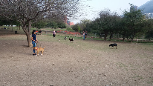 Parques para ir con perros en Monterrey