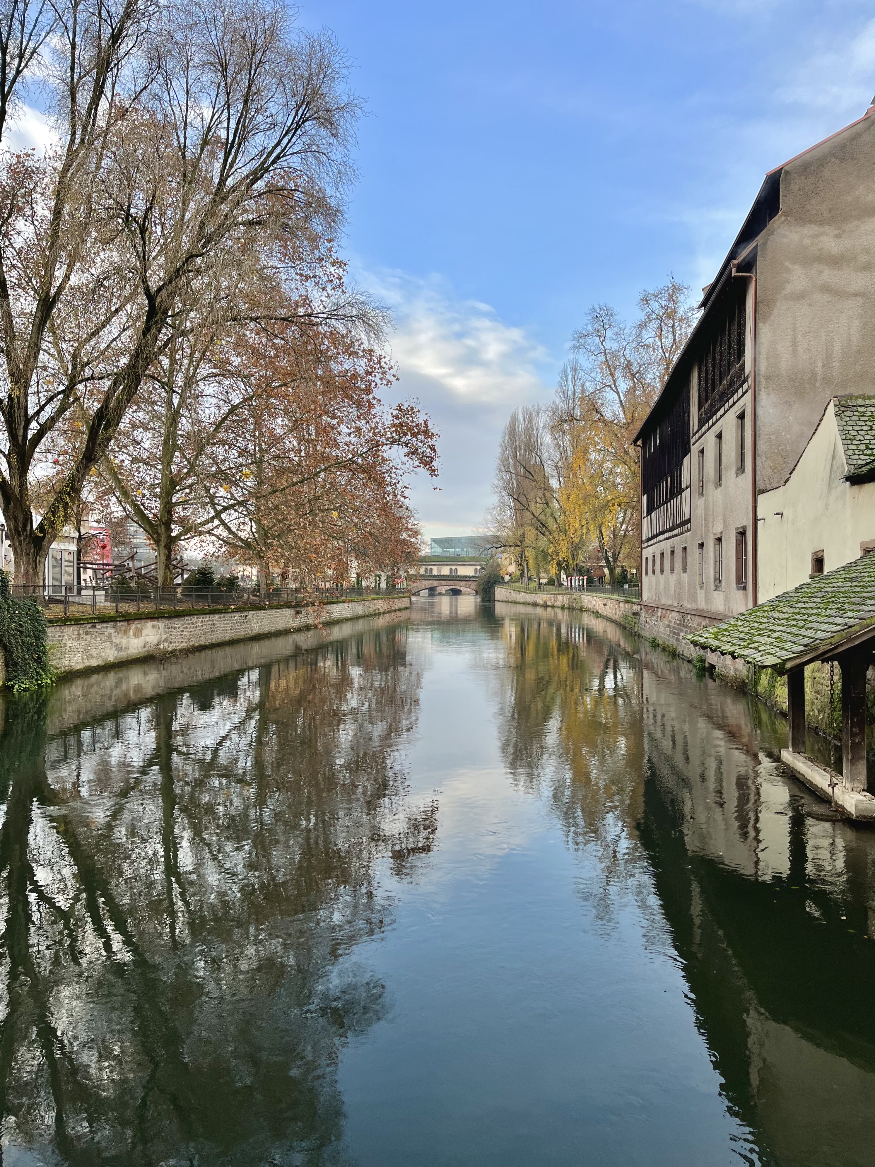 Photo n° 2 de l'avis de Winson.e fait le 29/12/2022 à 00:06
