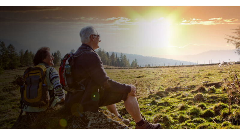 A.P. & Cía. Asesores de Seguros