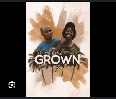Grown Swite à Saint-Omer