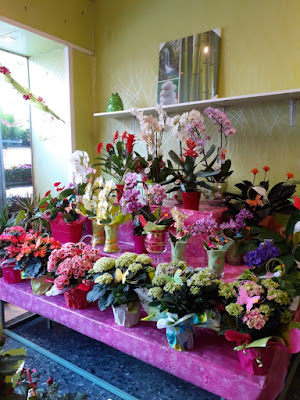 Fleurs et Déco à Albert
