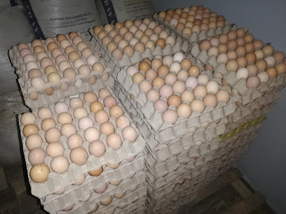 Kaba Gezen Tavuk Yumurta Çiftliği