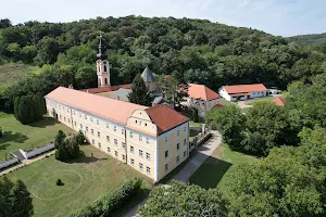 Novo Hopovo Monastery image