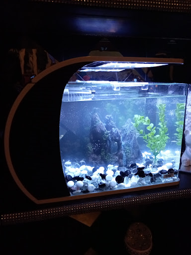 Tropical Fish Store «Best Fish», reviews and photos, 1335 N Doctor M.L.K. Dr, Milwaukee, WI 53212, USA