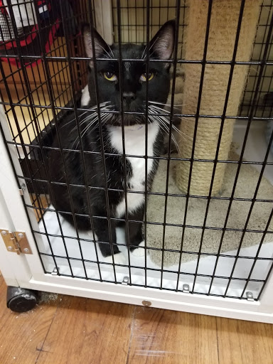 Pet Supply Store «Pet Supermarket», reviews and photos, 3581 Northlake Blvd, Palm Beach Gardens, FL 33403, USA